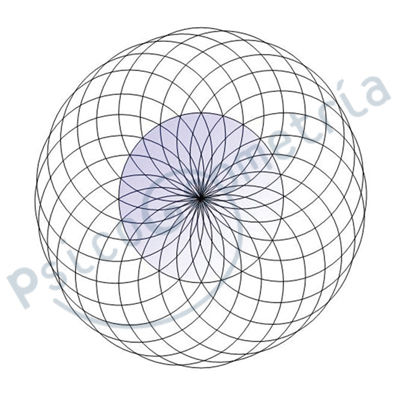 Sucio Nuez Desafío Psicogeometría Página Oficial